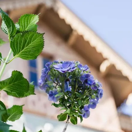 Ca Meison- Maggiore 3* Cannobio