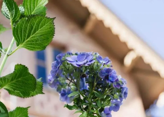 Ca Meison- Maggiore 3* Cannobio